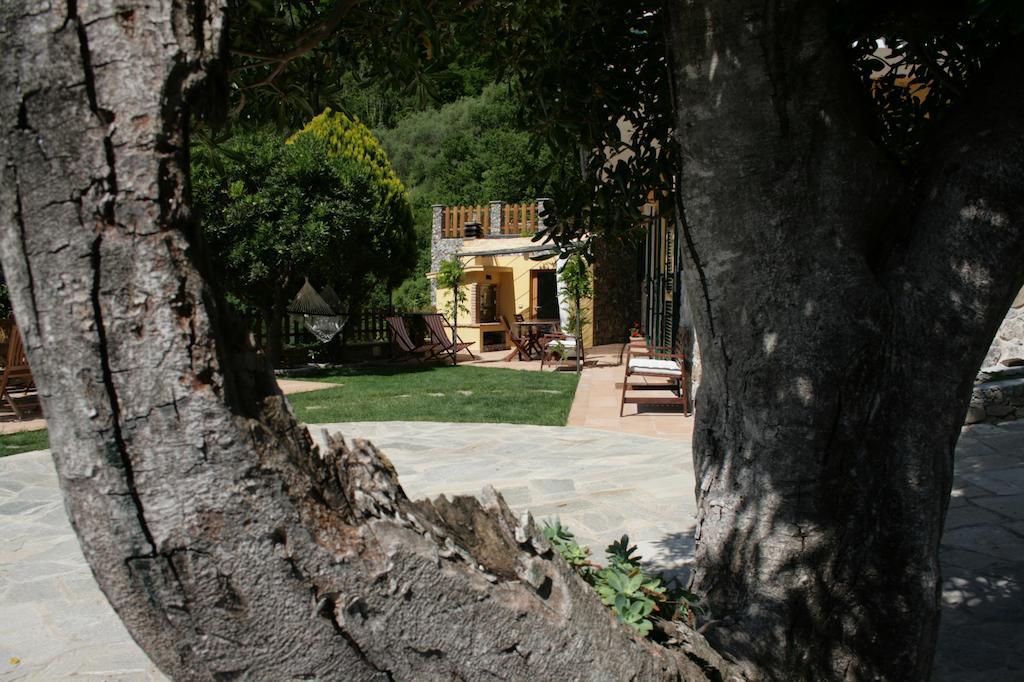 Ca De Pria Bed & Breakfast Casarza Ligure Eksteriør bilde