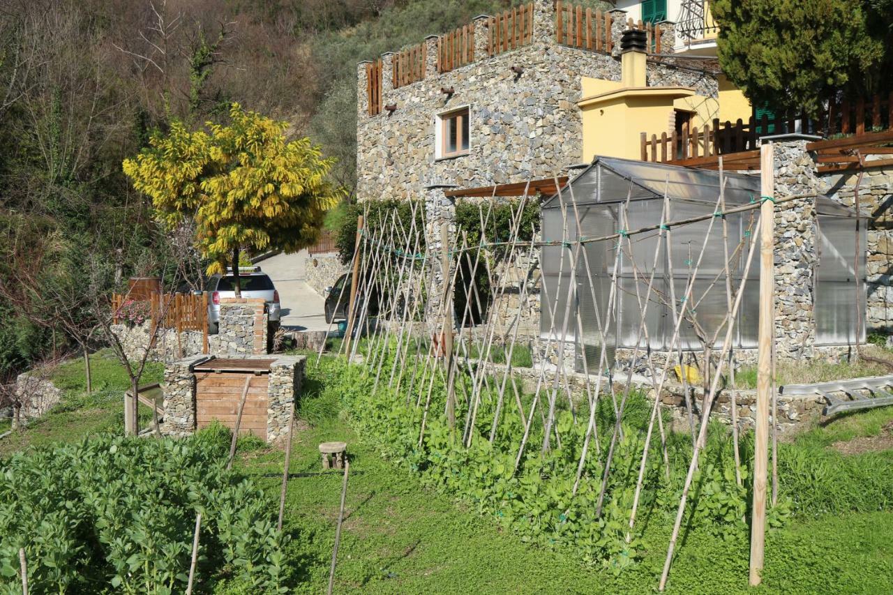 Ca De Pria Bed & Breakfast Casarza Ligure Eksteriør bilde